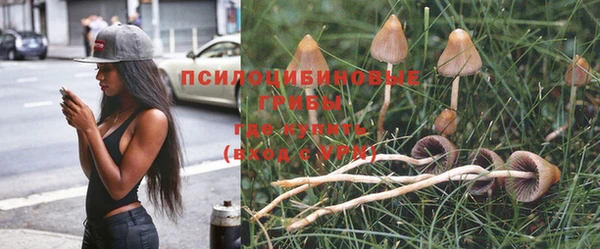 метадон Балабаново