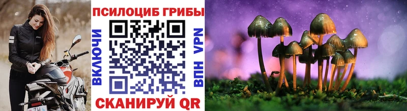 kraken tor  Магас  Галлюциногенные грибы мицелий  наркошоп 